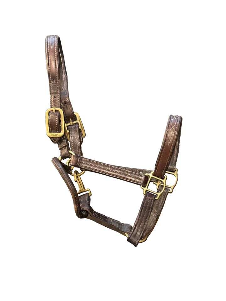PRE-LOVED WALSH SIGNATURE PADDED HALTER