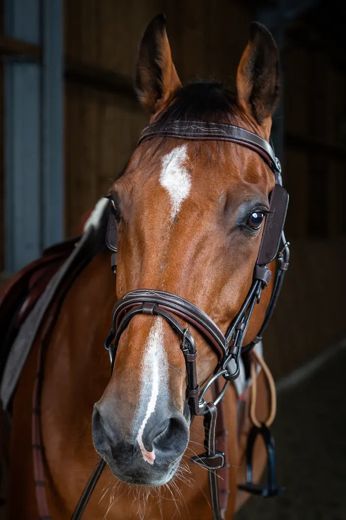 DY'ON BLINKERS