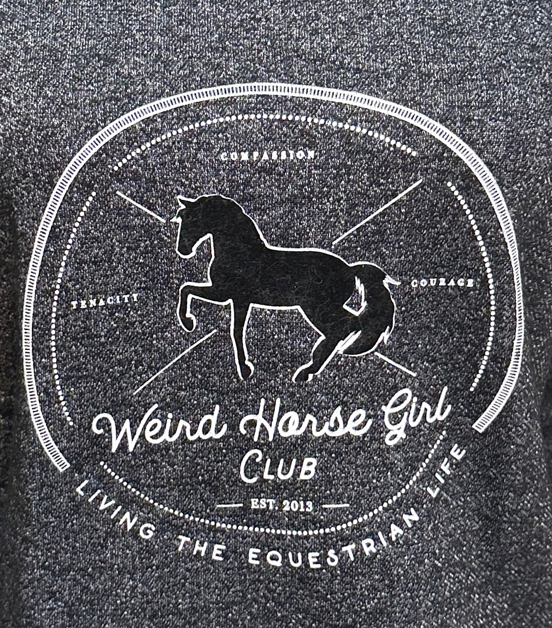 PRE-LOVED SPICED EQUESTRIAN WEIRD HORSE GIRL CLUB SWEATSHIRT