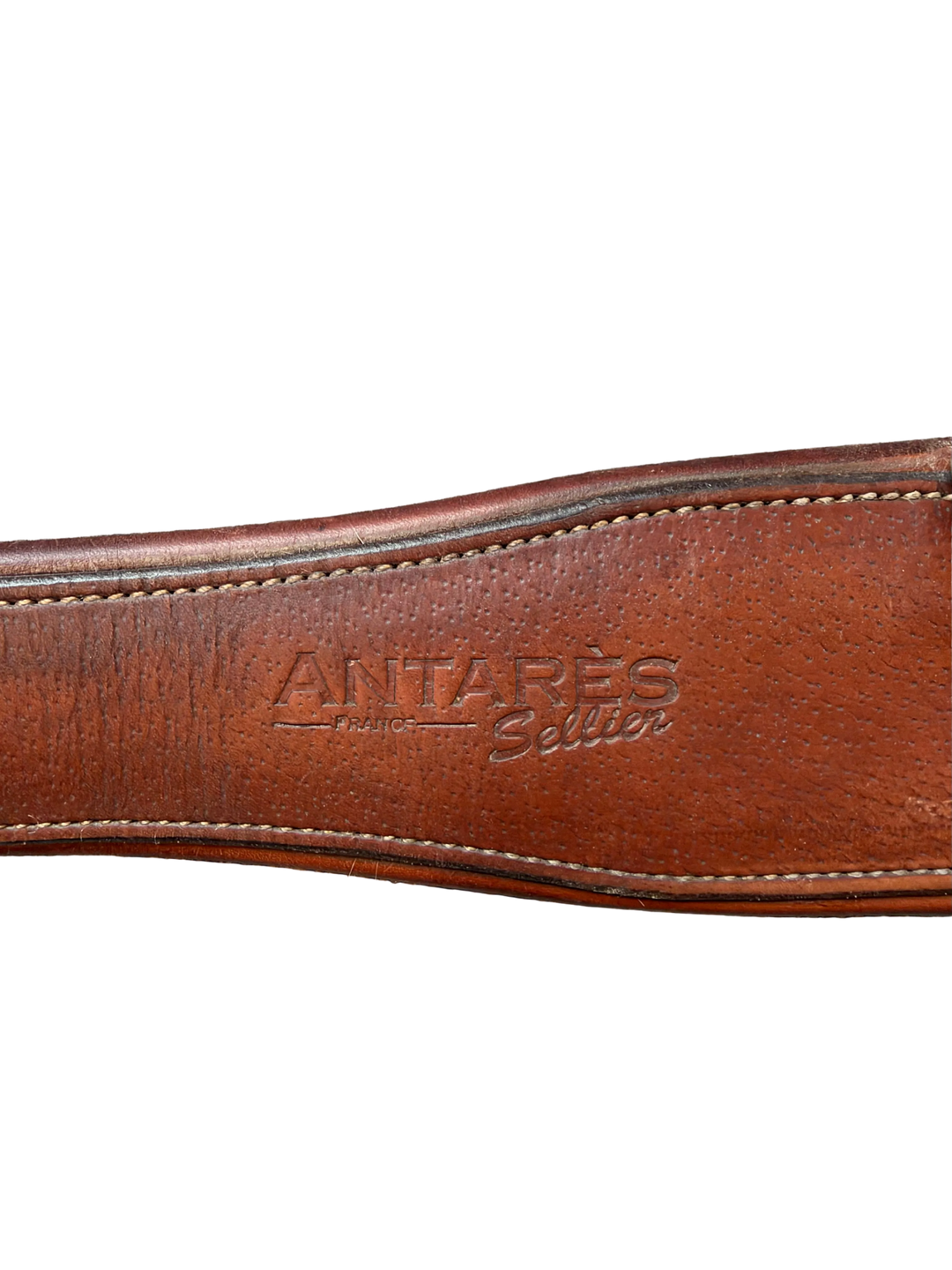 PRE-LOVED ANTARES SELLIER LEATHER GIRTH - 120/48”