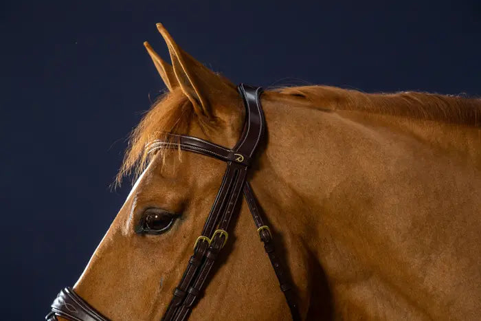 DY'ON ANATOMIC FLASH NOSEBAND BRIDLE