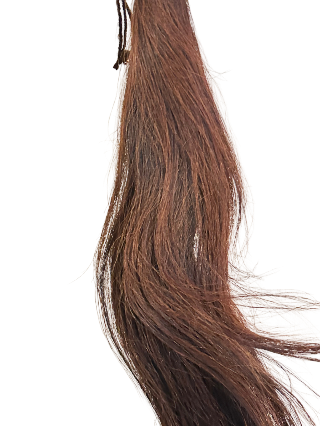 PRE-LOVED MIXED BROWN TAIL
