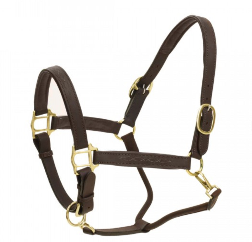 RICHTAN LUXURY PADDED HALTER