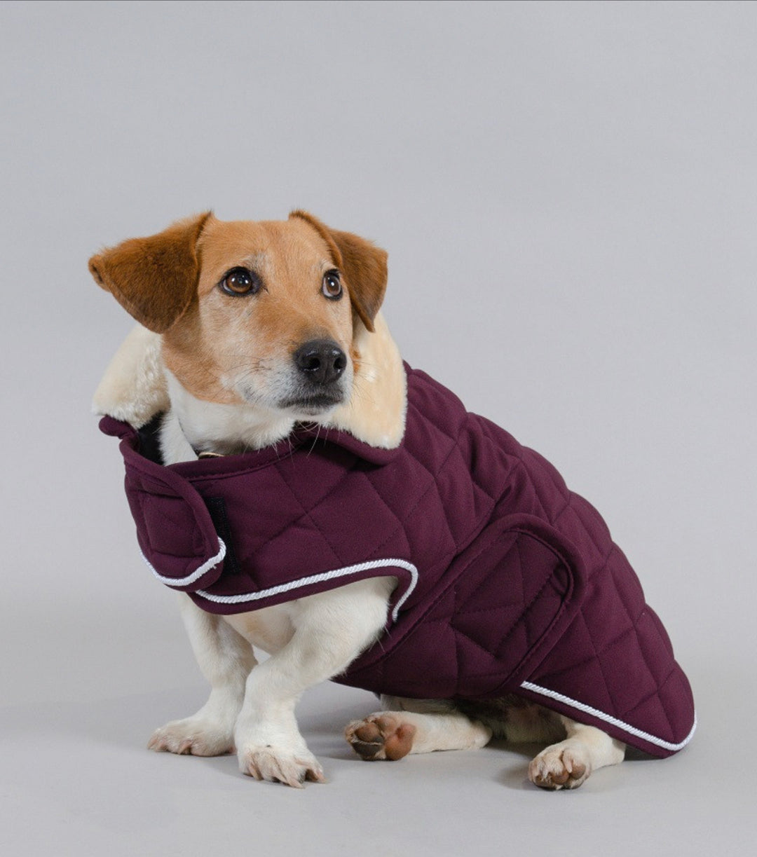 ROCKET DOG COAT