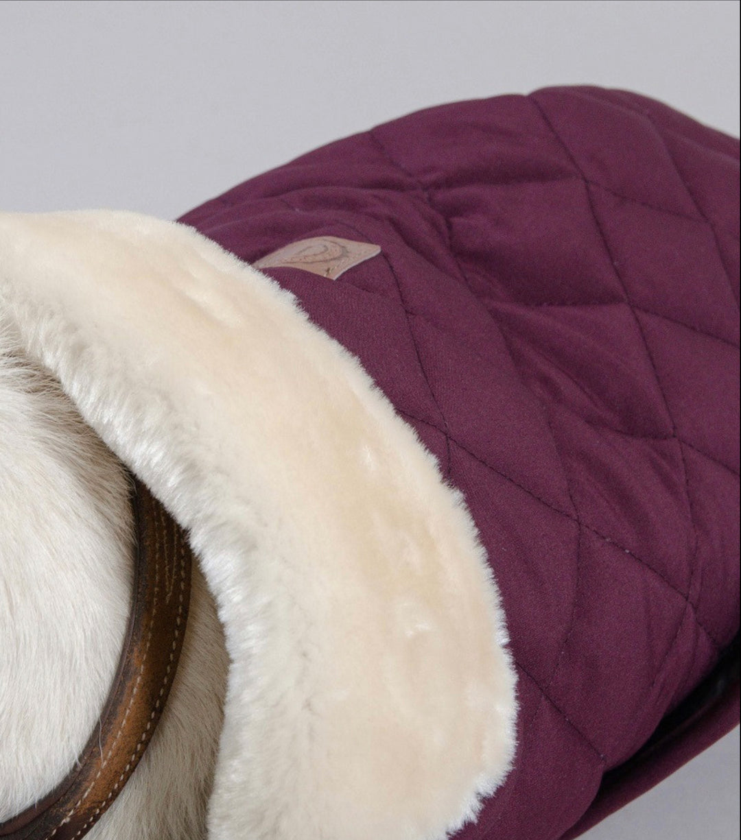 ROCKET DOG COAT