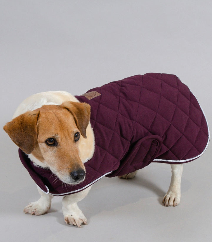ROCKET DOG COAT