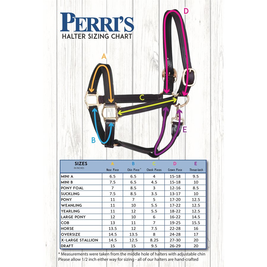 Perri's 1" Leather Track Halter w/ Snap