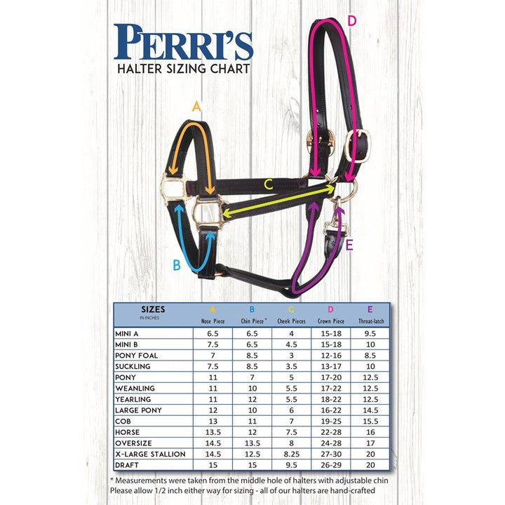 Perri's 1" Leather Track Halter w/ Snap