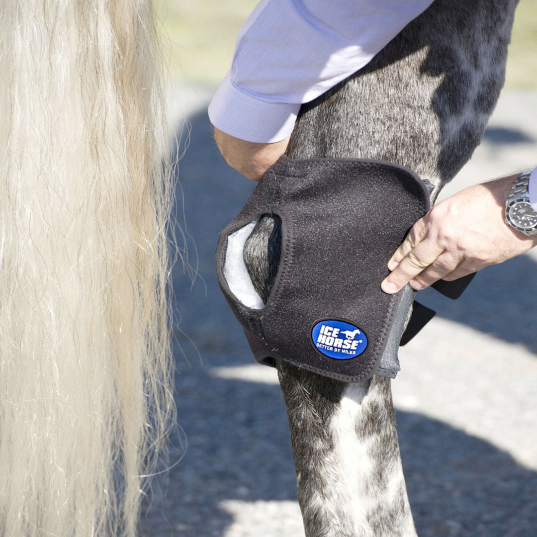 Hock Wraps