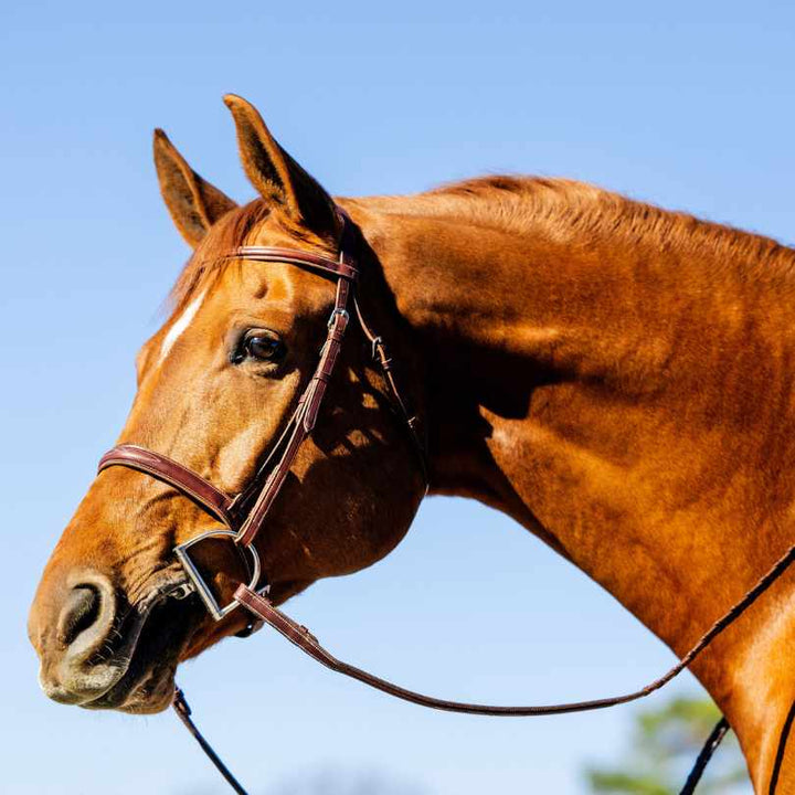 TACKHACK CLASSIC HUNTER BRIDLE WITH REINS