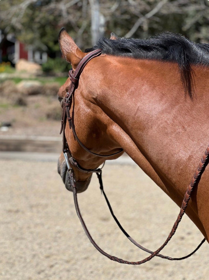 HOPLA HUNTER BRAIDED REINS
