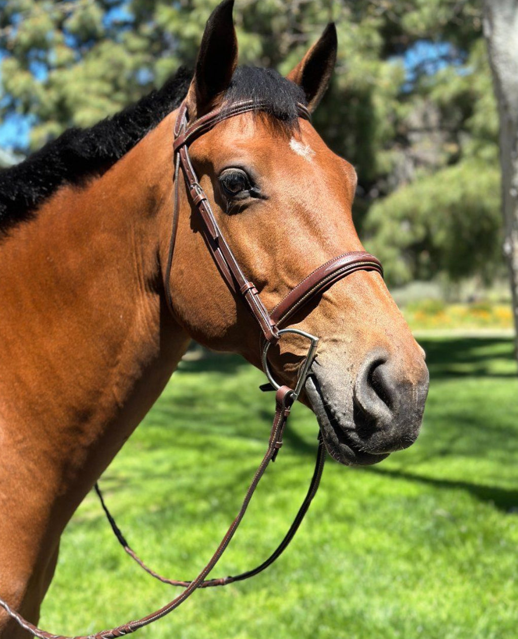HOPLA HUNTER BRIDLE