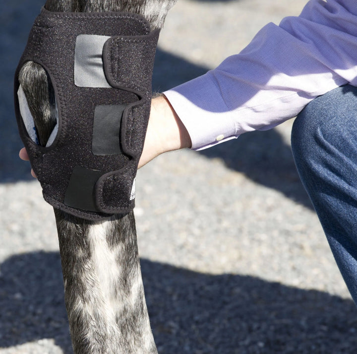 HOCK WRAPS - PAIR