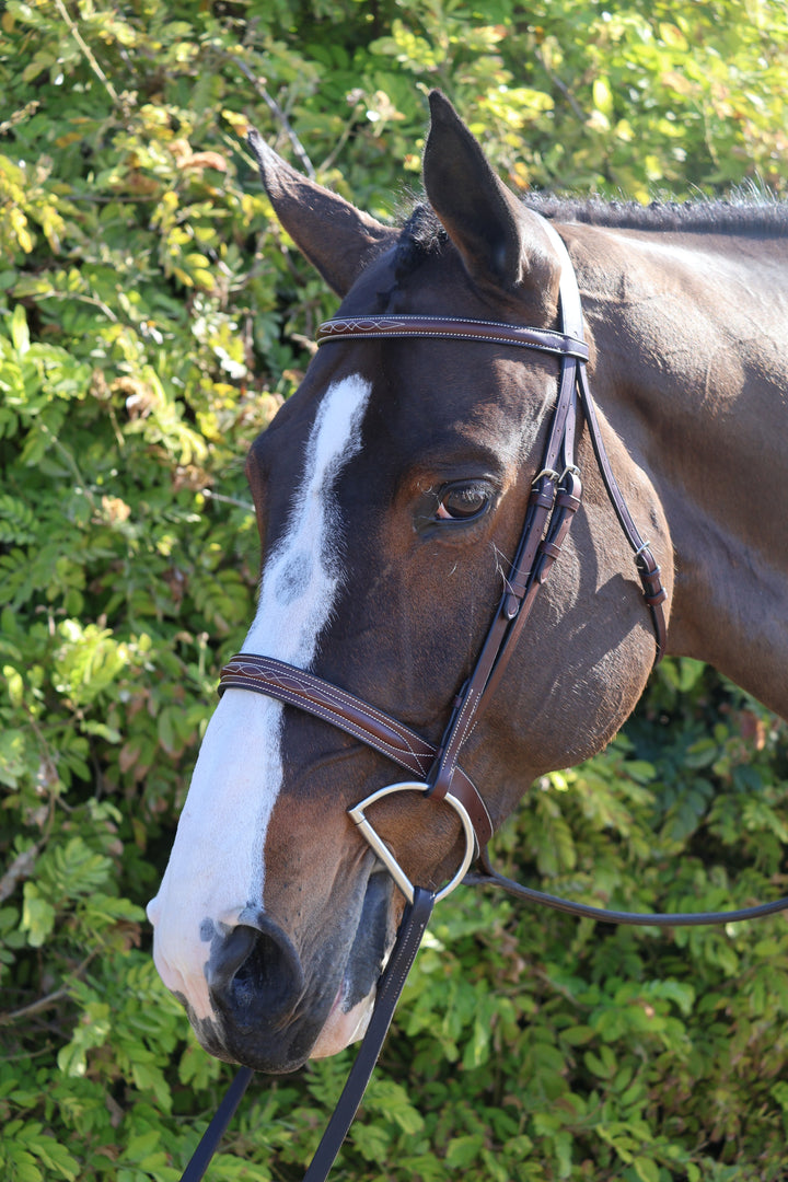 AJR Wide Noseband Hunter Bridle