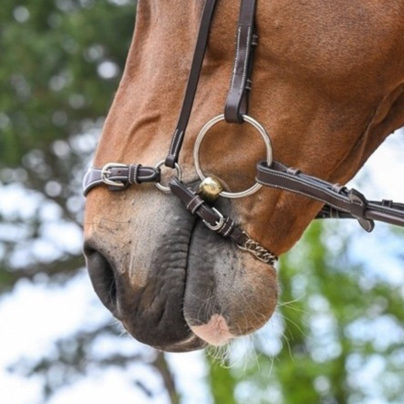 JUMP'IN CHAIN DROP NOSEBAND