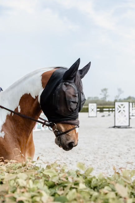 KENTUCKY FLY MASK SLIM FIT