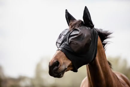 KENTUCKY FLY MASK SLIM FIT