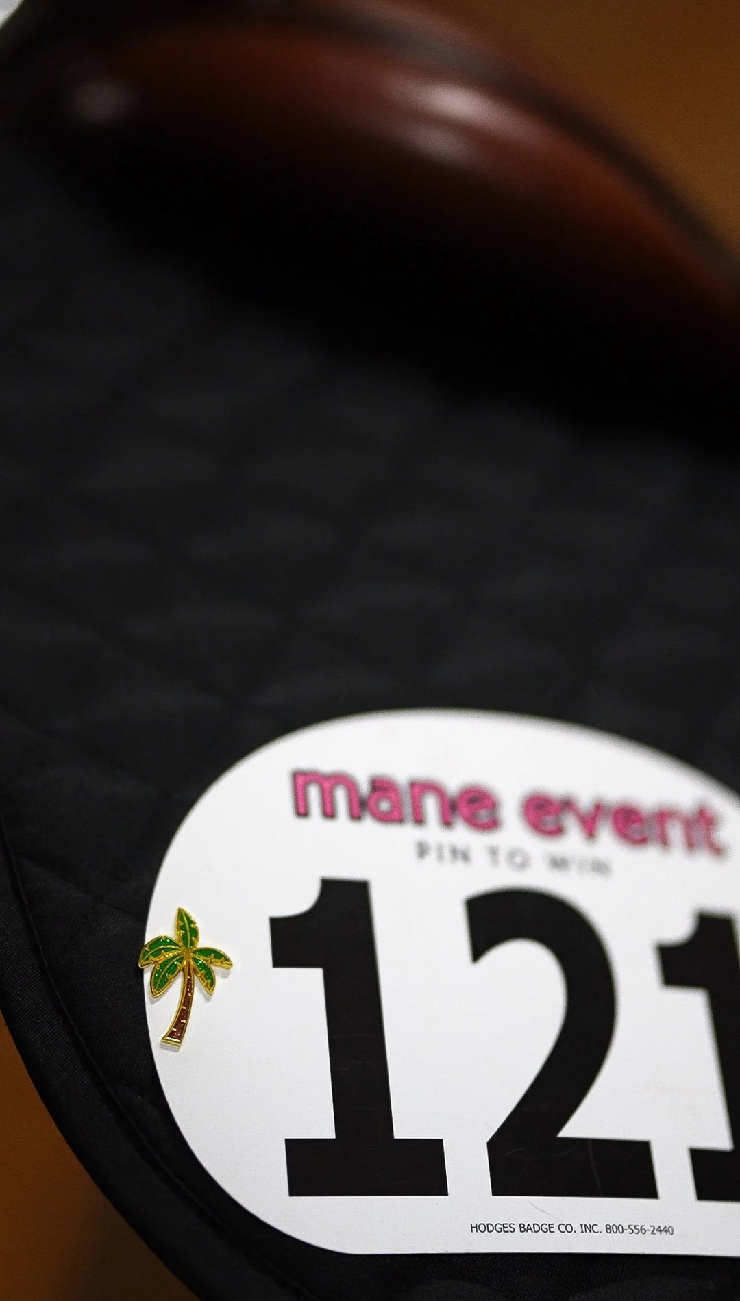 Mane Event Number Pins