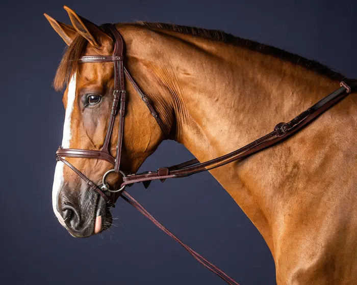 DY'ON DRAW REINS LEATHER/ NYLON