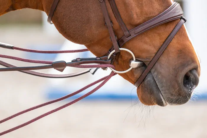 DY'ON DRAW REINS LEATHER/ NYLON