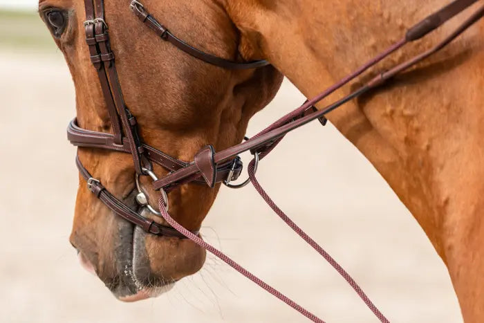 DY'ON DRAW REINS LEATHER/ NYLON