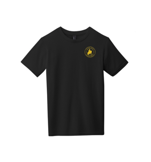 GLORY DAYS EQUESTRIAN DISTRICT VIT YOUTH TEE