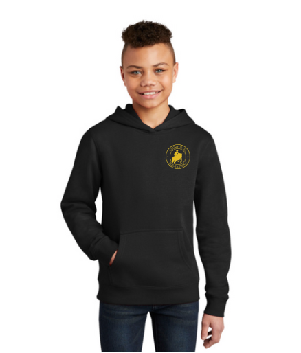 GLORY DAYS EQUESTRIAN DISTRICT VIT YOUTH HOODIE