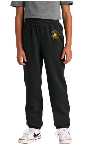 GLORY DAYS EQUESTRIAN DISTRICT VIT YOUTH SWEATS