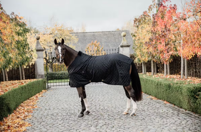 KENTUCKY STABLE RUG