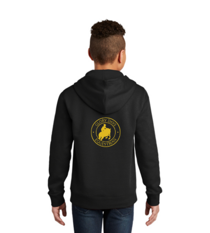 GLORY DAYS EQUESTRIAN DISTRICT VIT YOUTH HOODIE