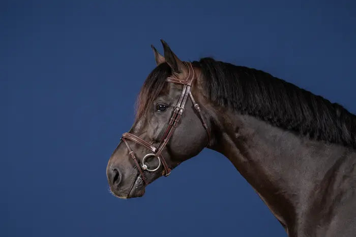 DY'ON FLASH NOSEBAND BRIDLE(US)