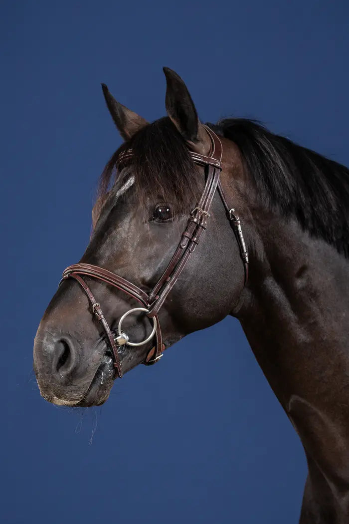 DY'ON FLASH NOSEBAND BRIDLE(US)