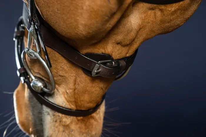 DY'ON FLAT LEATHER BRIDLE