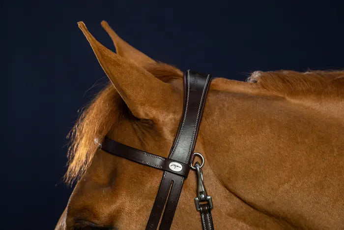 DY'ON FLAT LEATHER BRIDLE