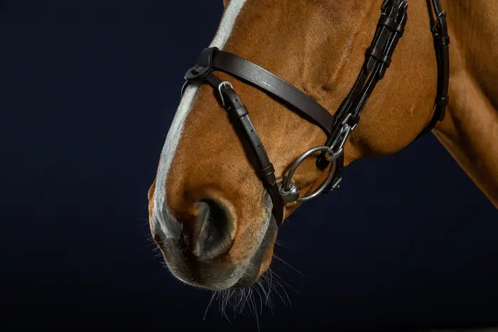 DY'ON FLAT LEATHER BRIDLE