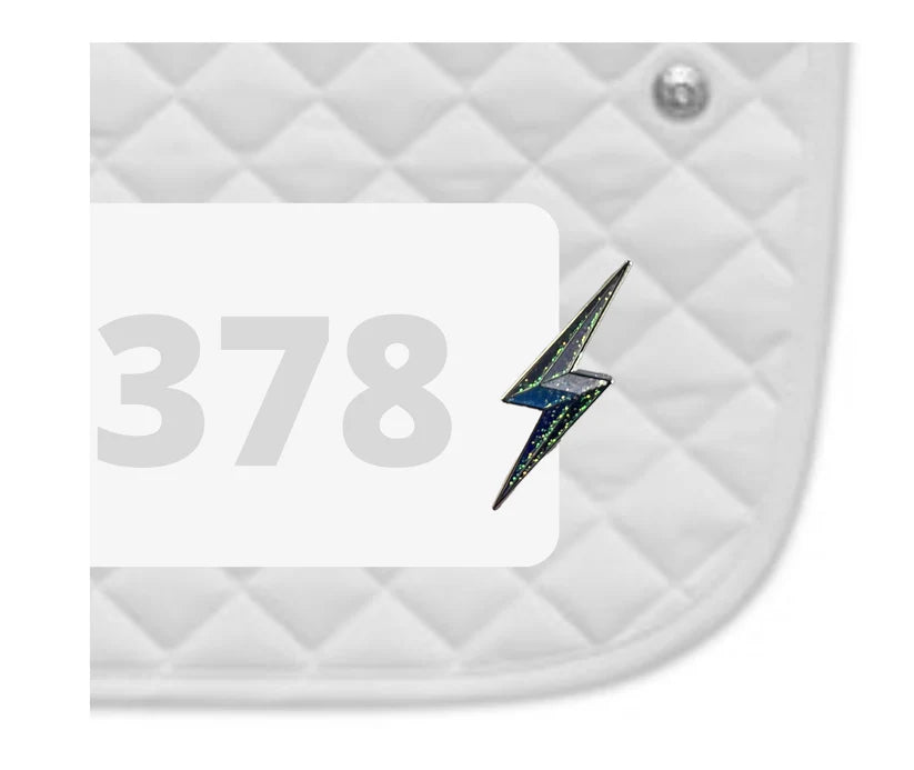 DUBOIS CHEVAL CHARM NUMBER PINS