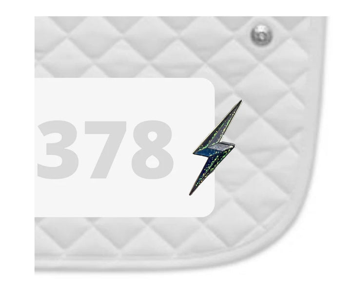 DUBOIS CHEVAL CHARM NUMBER PINS