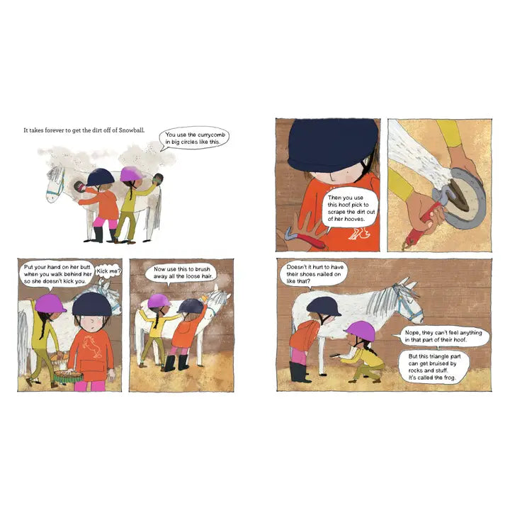 The Riding Lesson Book