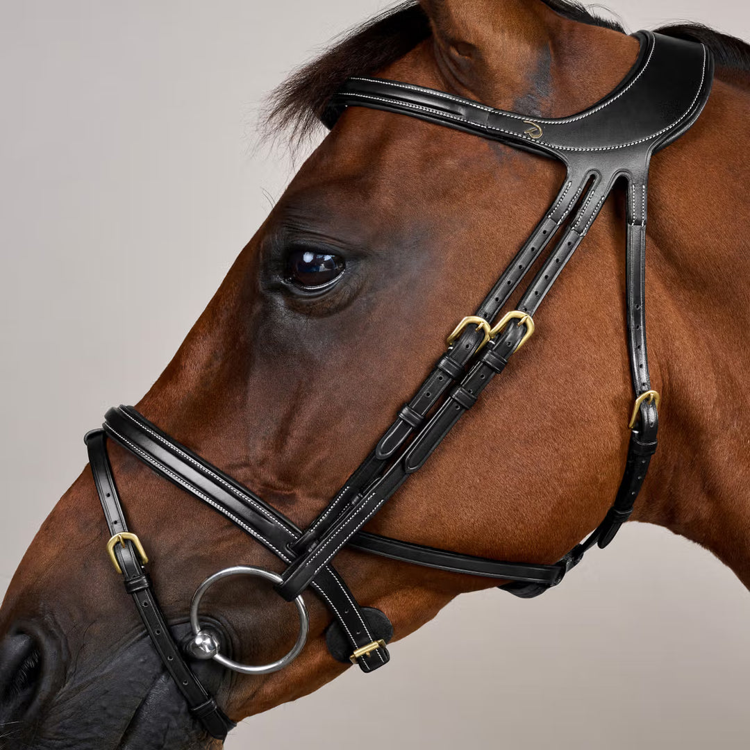 Dy'on Difference Bridle- Full