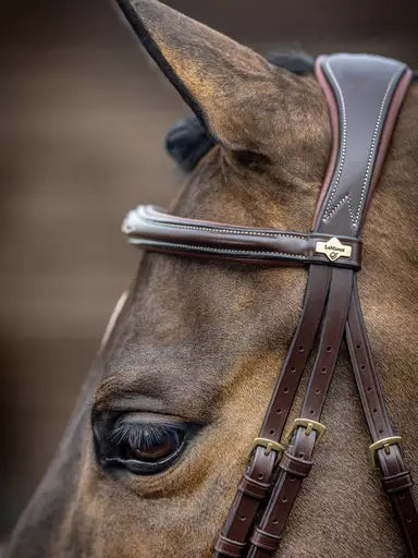 LeMieux Kudos Competition Flash Bridle