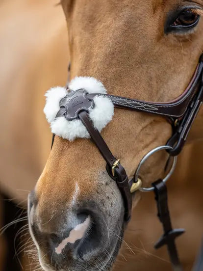 LeMieux Kudos Grackle Bridle