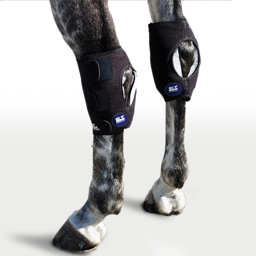 Hock Wraps