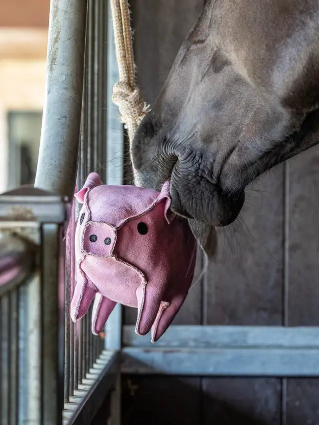 LeMieux Horse Toy