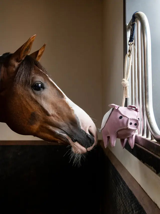 LeMieux Horse Toy