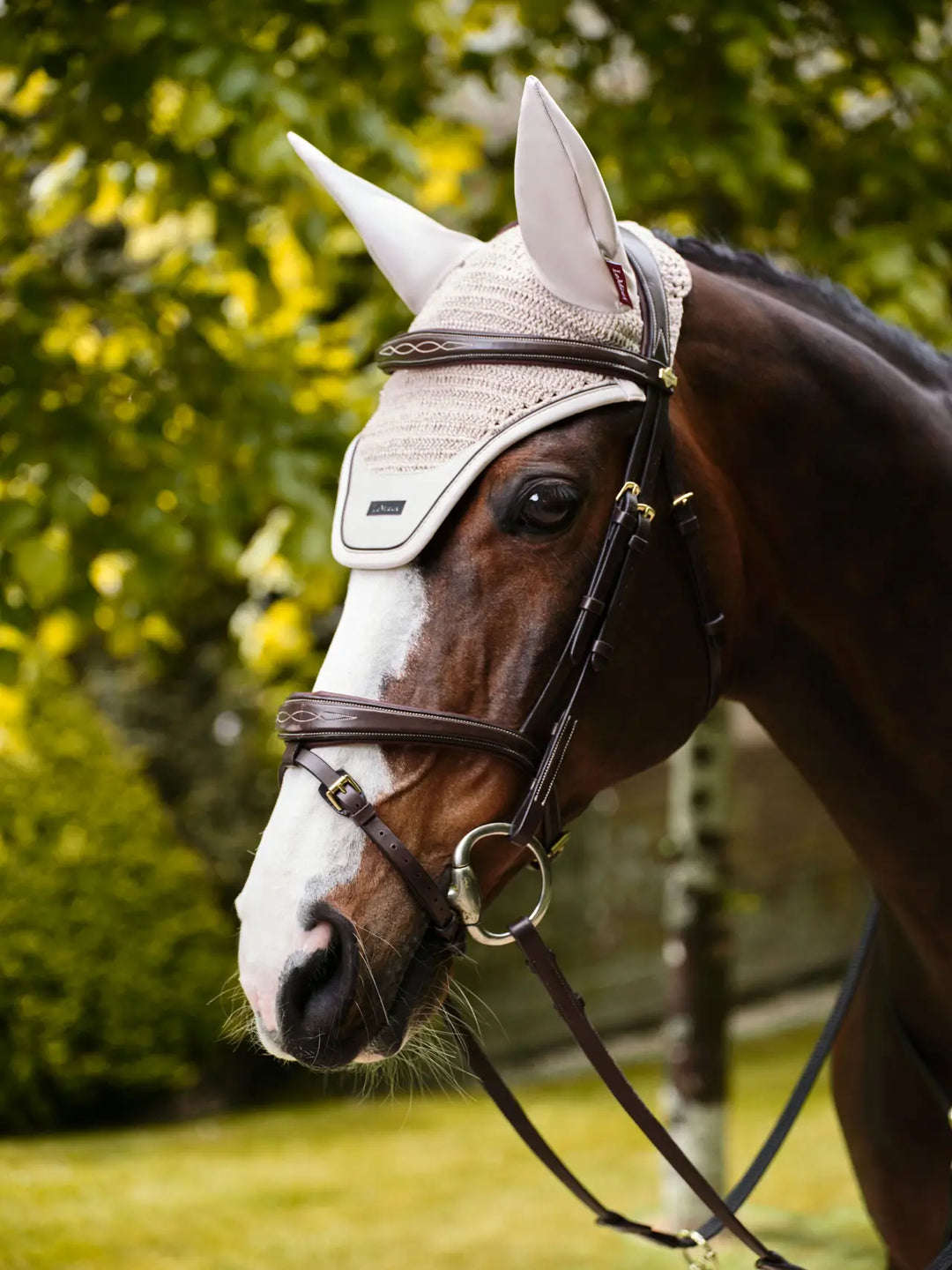 LeMieux Essence Fly Hood