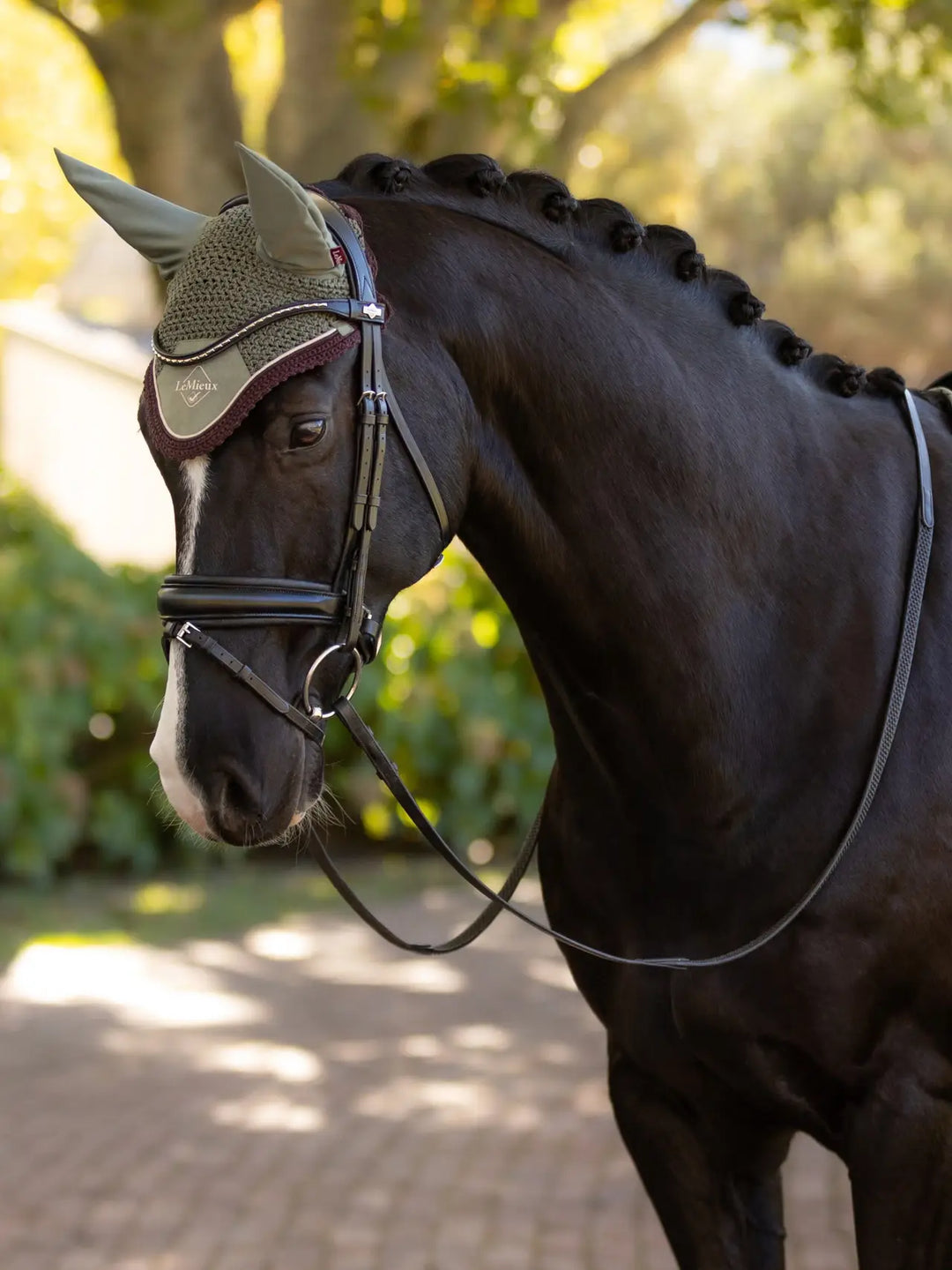 LeMieux Classic Fly Hood