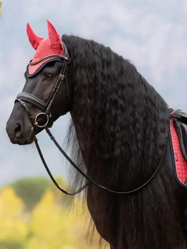 LeMieux Classic Fly Hood