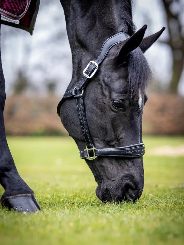 LeMieux Stitched Leather Halter Black