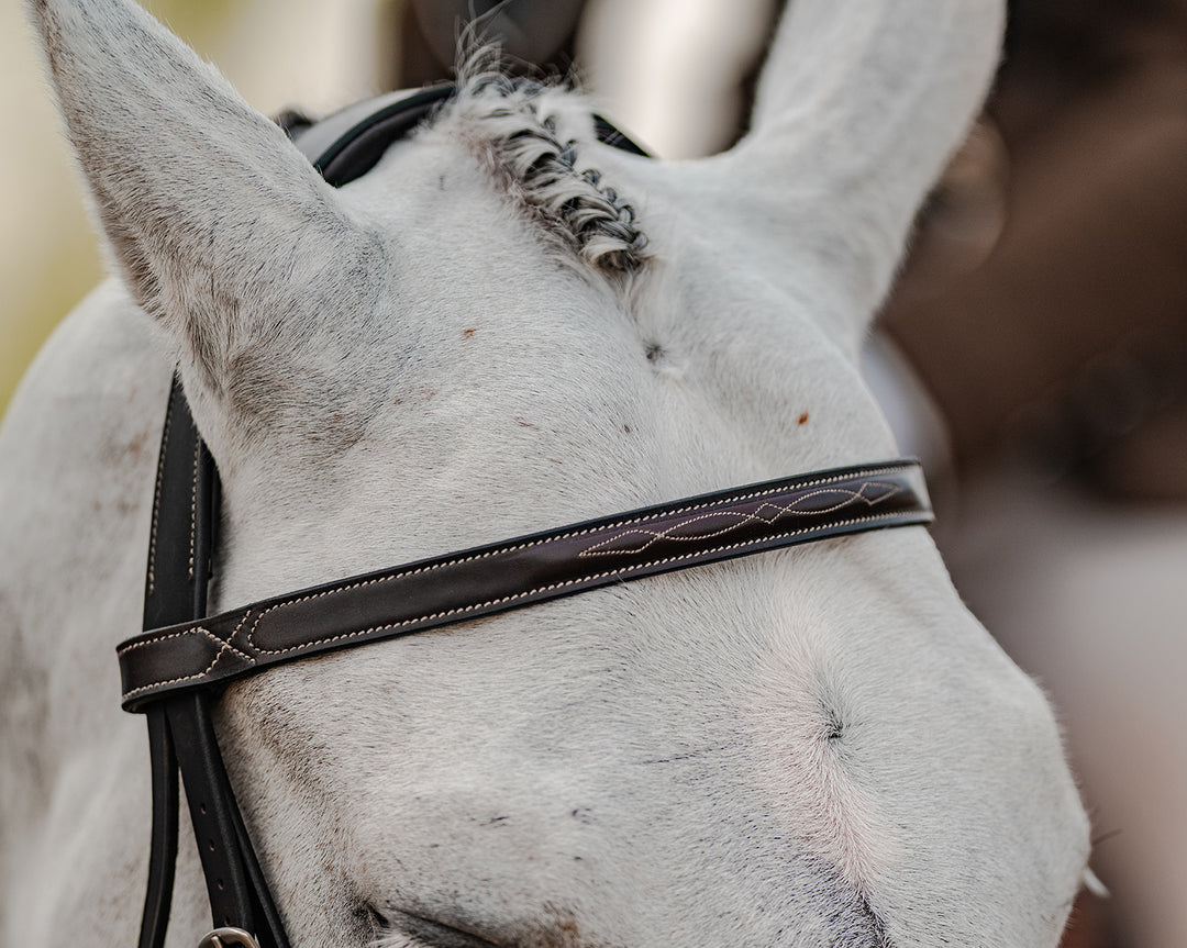 Haness x PS of Sweden Hunter Bridle