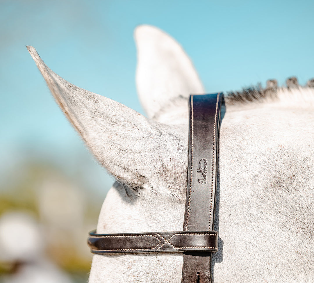 Haness x PS of Sweden Hunter Bridle